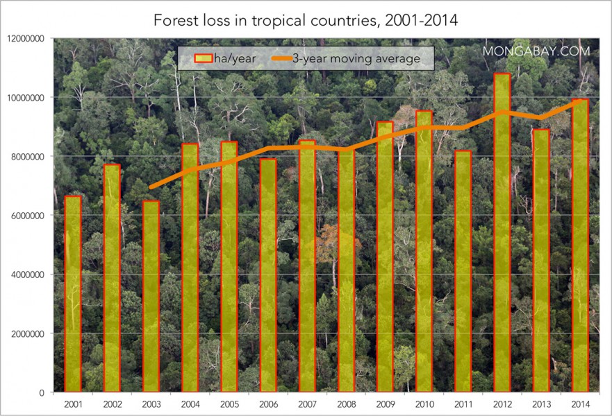 Data from Matt Hansen and colleagues presented via Global Forest Watch. Prepared by Mongabay.com.
